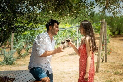 Heraklion Privétour olijfolie en wijngastronomie met lunch 