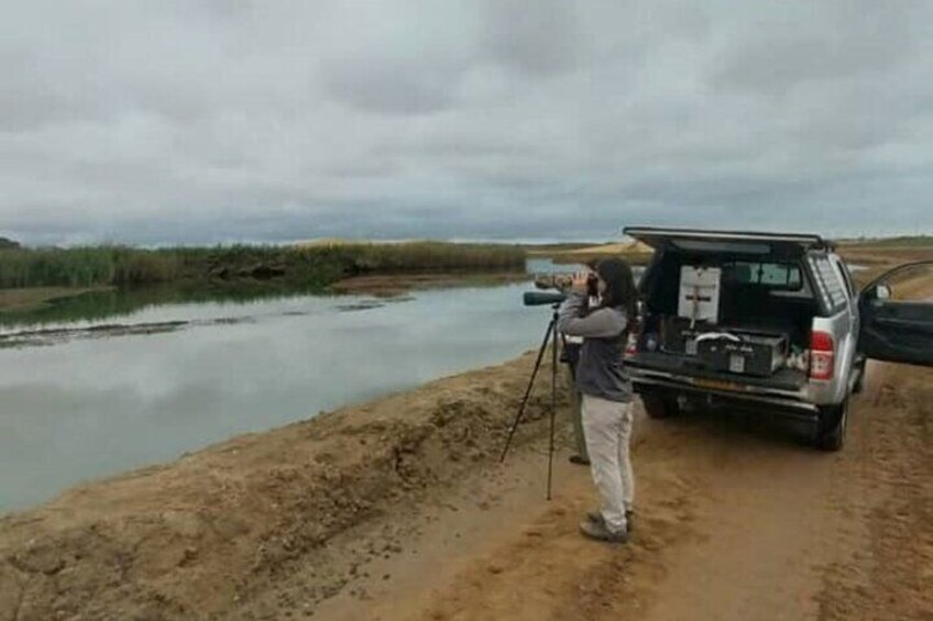 Birding Tours in Walvisbay and surrounds