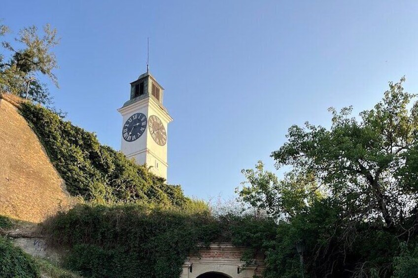 City Center of Novi Sad and Petrovaradin Fortress Tour