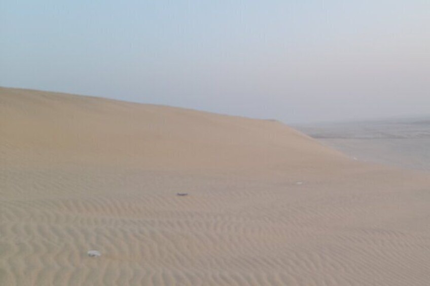 Doha: Desert Safari (Private Tour) with Pick Up & Drop Off