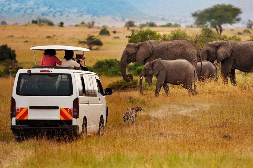 Aquila Safari Wildlife Experience Private Tour