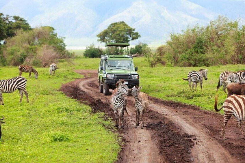 Aquila Safari Wildlife Experience Private Tour