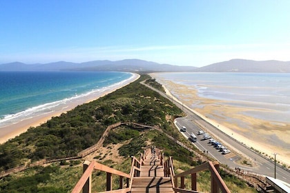 Bruny Island Full-Day Escapes From Hobart