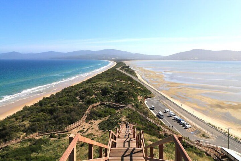 Bruny Island Full Day Escapes From Hobart