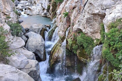 Kourtaliotiko-Schlucht und Südkreta: Private Tour