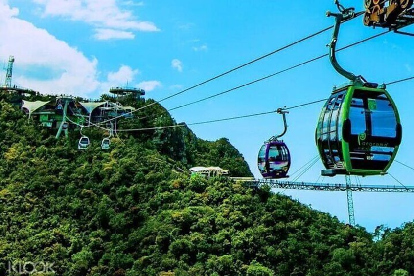 Private Half Day Cable Car Tour With Sky Bridge Plus Eagle Square