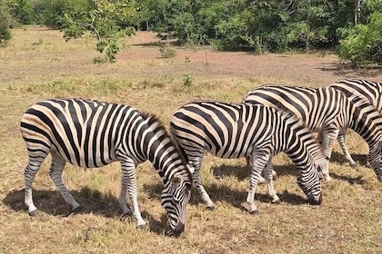 Full Day Accra Safari and Boat Cruise Private Tour