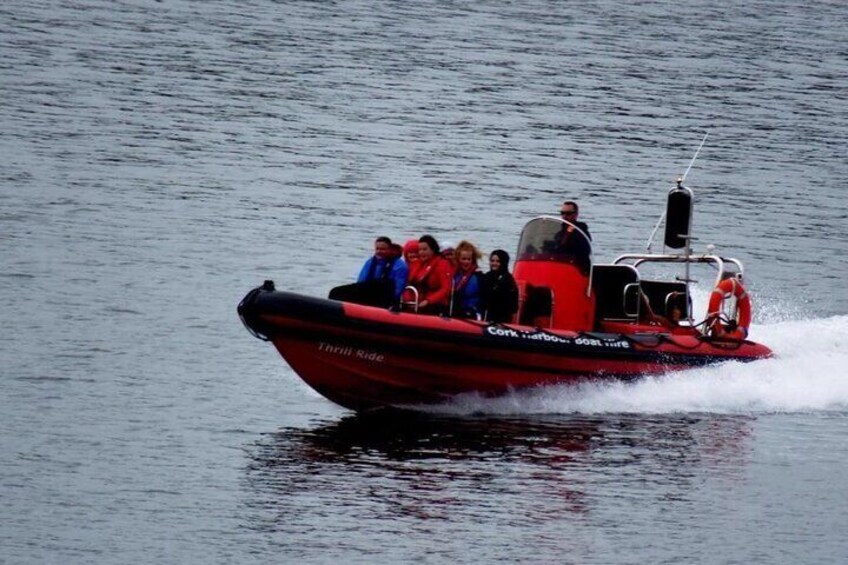 Cork Harbour RIB Tour