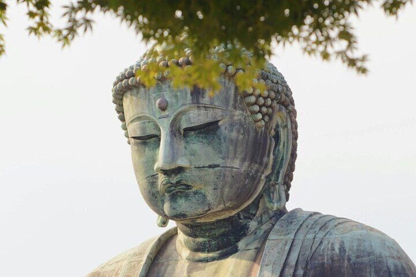 Full Day Private Tour to Kamakura by Luxury Vehicle