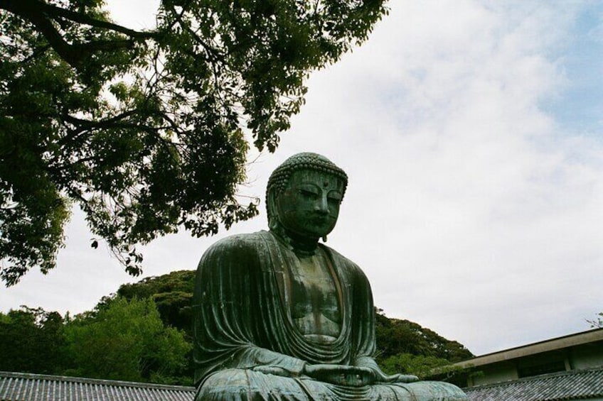 Full Day Private Tour to Kamakura by Luxury Vehicle