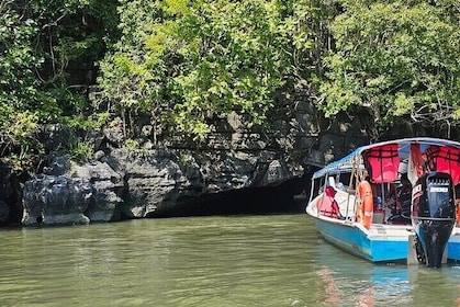 Langkawi Mangrove & Bat Cave Expedition: Dela båt med tillval