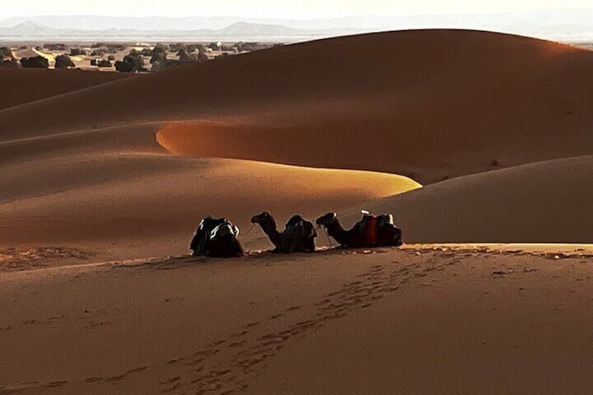 Best Fez to Marrakech via Merzouga Desert Dunes, 3 Days Tour