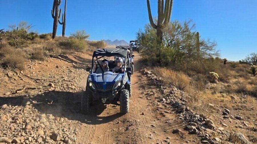 Sonoran Desert Tours with Desert Dog Offroad
