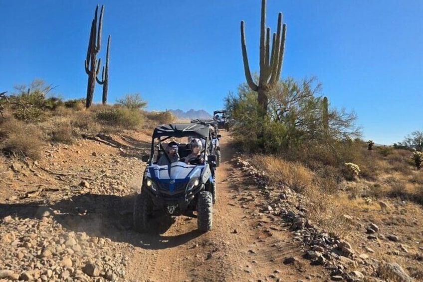 Sonoran Desert Tours with Desert Dog Offroad