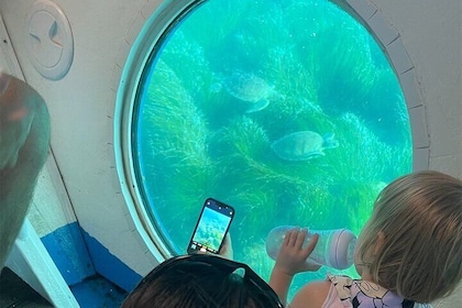Atlantis Turtle Watching Cruise & Snorkelling Adventure