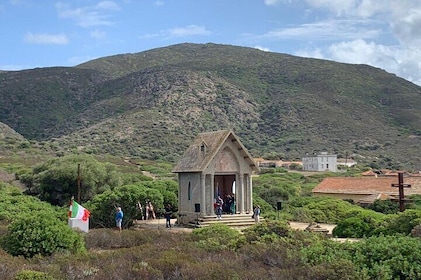 From Porto Torres: minivan tour to Asinara