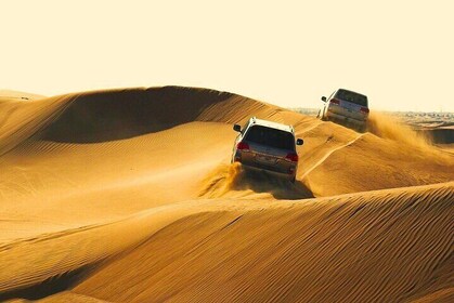 Safari de medio día con paseo en camello y sandboarding en Doha