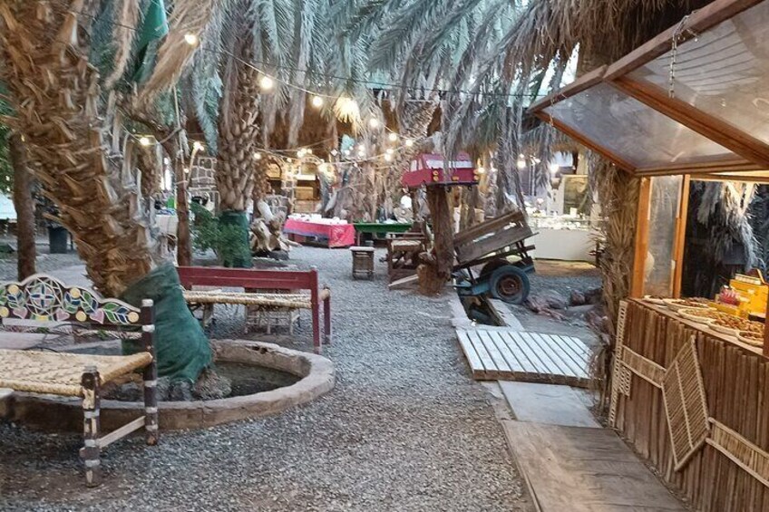 Guided Tour to Landmarks and Museums of Medina