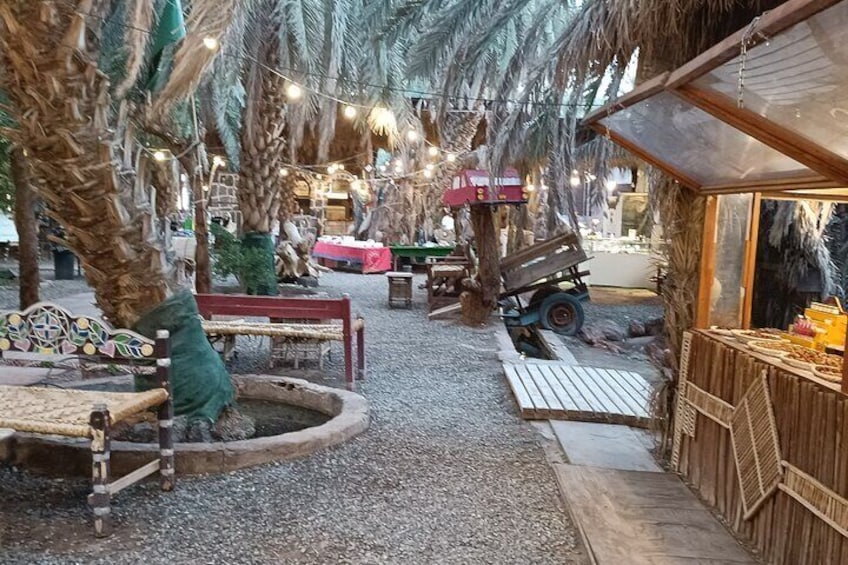 Guided Tour to Landmarks and Museums of Medina