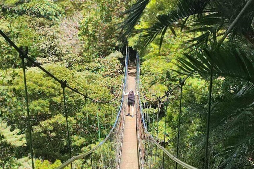 Miravalles Volcano Expedition, Waterfalls and Natural Hot Springs