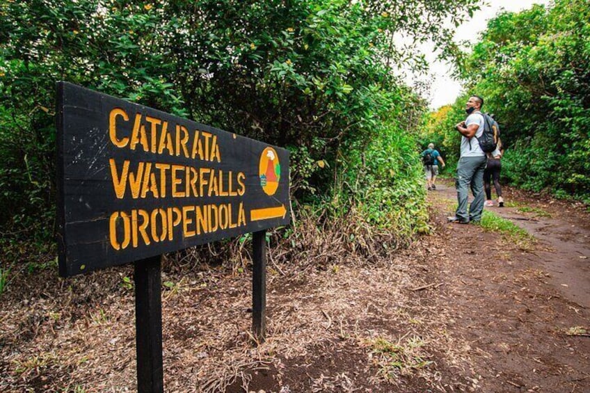 Guided Hiking Experience in Volcanoes and Hot Springs