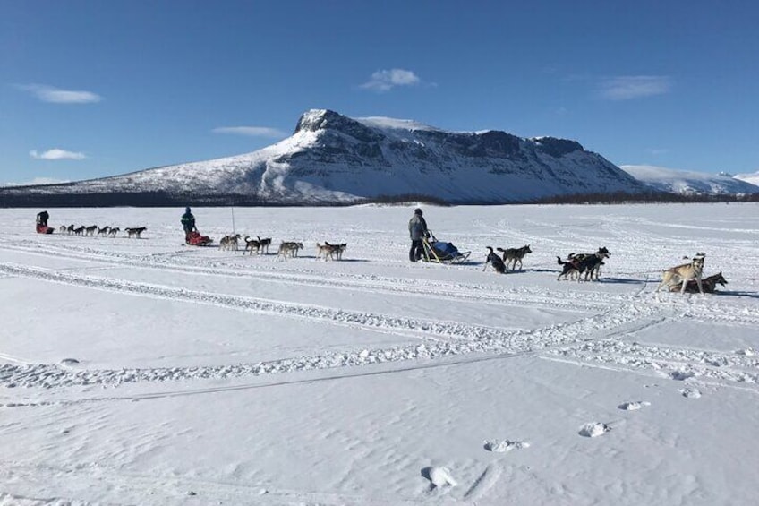 Dogsledding in the Heart of Alaska