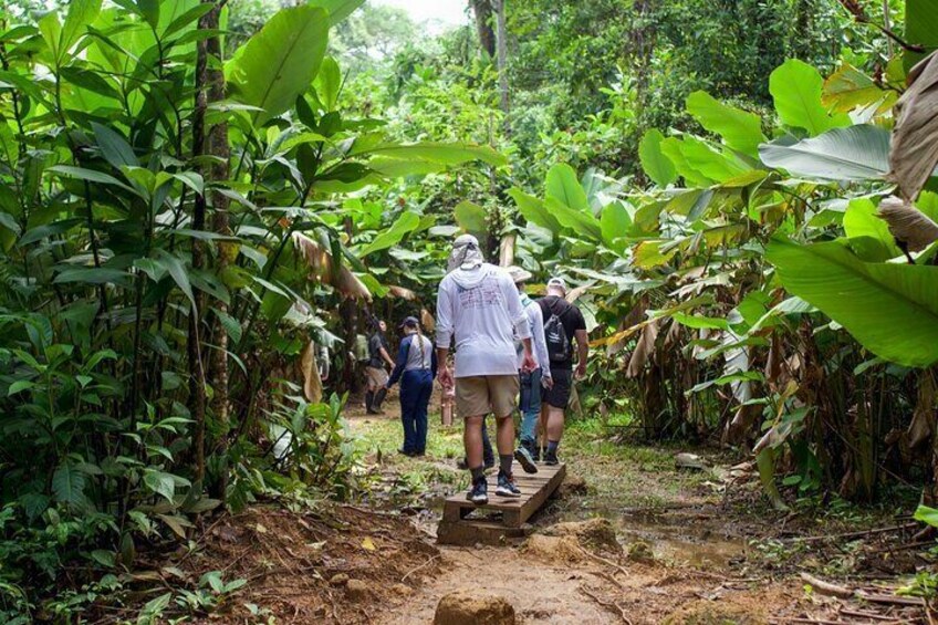 Hiking in Corcovado
