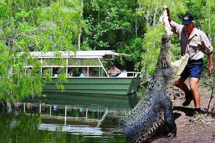 Hartley Crocodile Park with Kuranda, Skyrail Cableway and Train