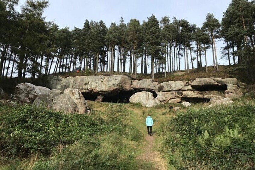 Guided Walk to Saint Cuthbert’s Cave and Woodland Walks Views