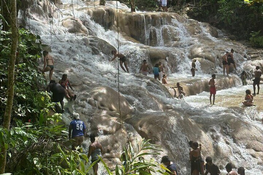 Horseback ride Dunn’s River and Blue hole with transport included