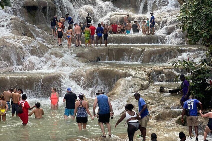 Horseback ride Dunn’s River and Blue hole with transport included