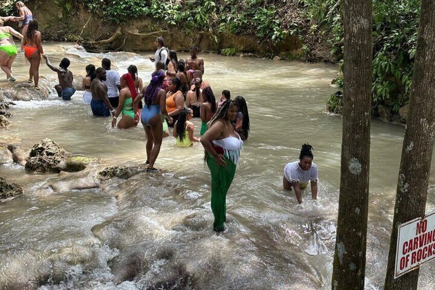 Horseback ride Dunn’s River and Blue hole with transport included