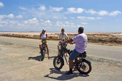 Electric Bike South Tour with Local Guide by Fatbike