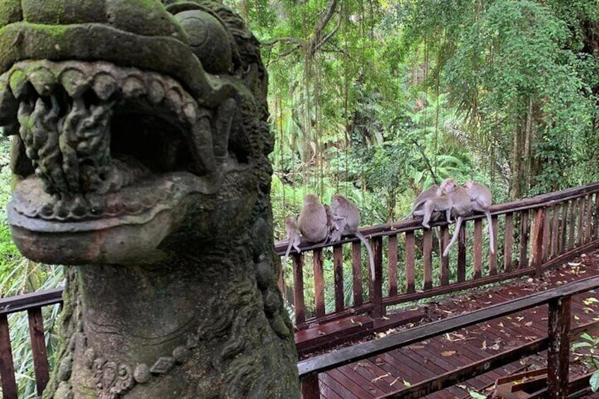 Full Day Ubud Tour Waterfall Monkey Forest Rice Terrace