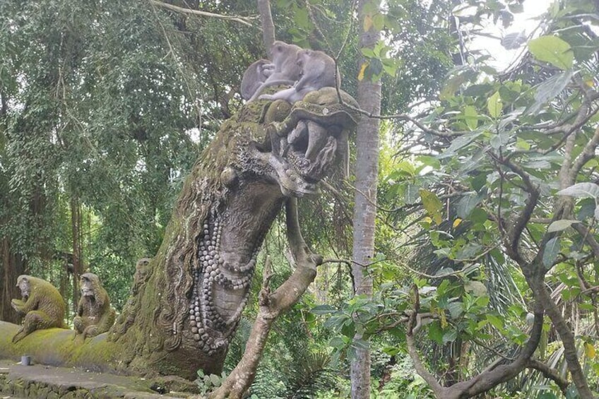 Full Day Ubud Tour Waterfall Monkey Forest Rice Terrace