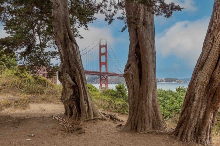 Self-Guided Palace of Fine Arts to Golden Gate Bridge Audio Tour