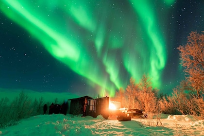 From Abisko: Northern Lights Tour with Photographer Guide