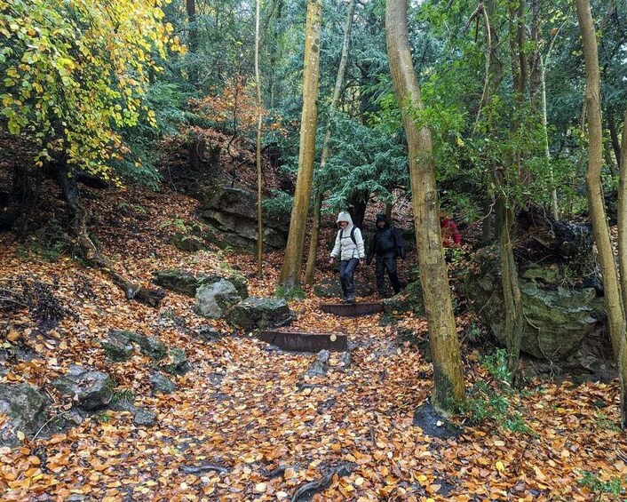 Picture 7 for Activity Private Guided Hike: King Arthur's Wye Valley Wander