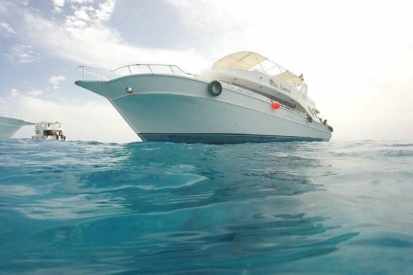 Enjoy Hula Hula Island Private Boat & Lunch & Transfer - Hurghada