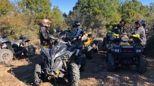 Bracciano: 2-hour quad bike tour