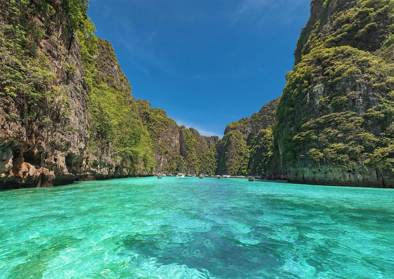 Explore Phi Phi and Khai Island by catamaran speedboat