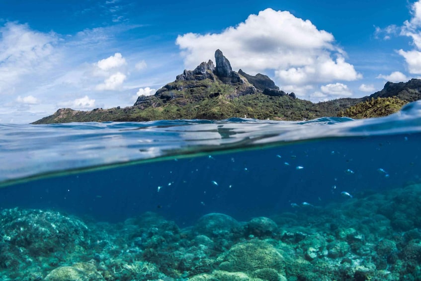 Picture 3 for Activity Bora Bora: Introductory Scuba Diving Lesson