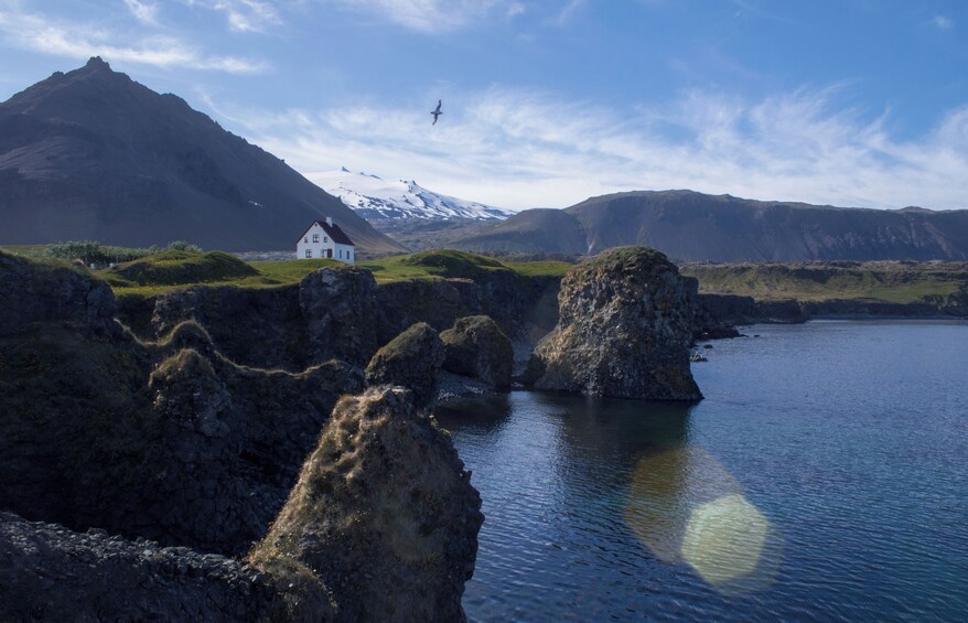 Snaefellsnes Small Group Tour with Homemade Meal from Reykjavik