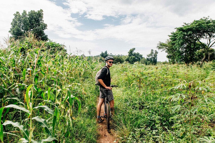 Picture 5 for Activity Kampala: Lake Victoria Island Cycling Tour