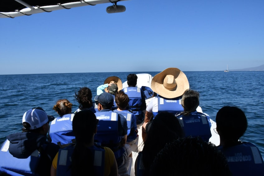 Whale Watching Guaranteed Experience in Puerto Vallarta