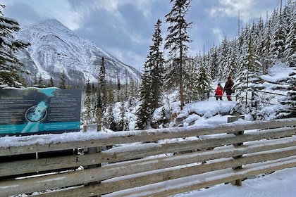 Winter Lake Louise, Canyon, and Yoho National Park Day Trip