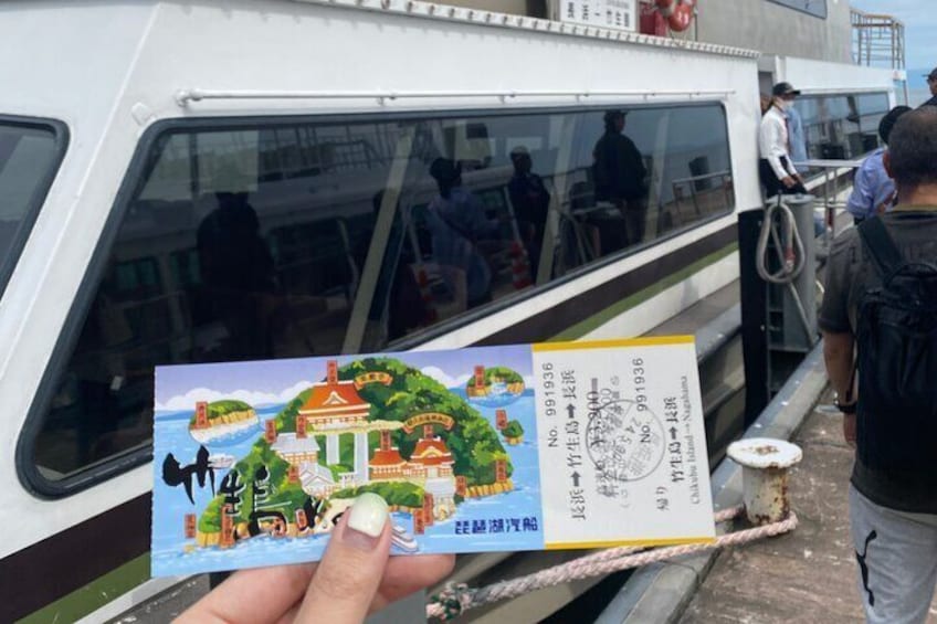 Private Walking Tour in downtown and Biwalake Cruising