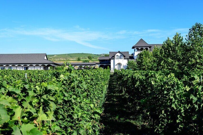 Private Tour The Salt Mines, The Winery, The Muddy Volcanoes