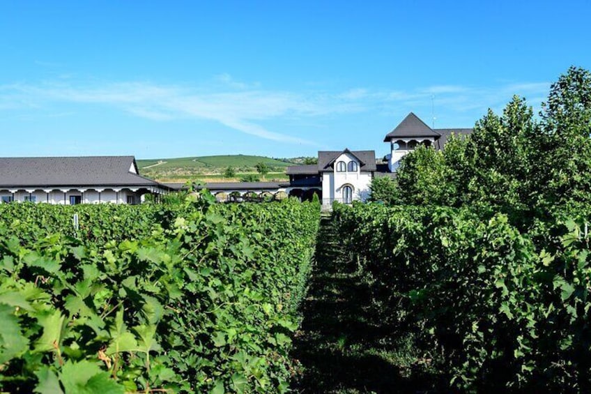 Private Tour The Salt Mines, The Winery, The Muddy Volcanoes