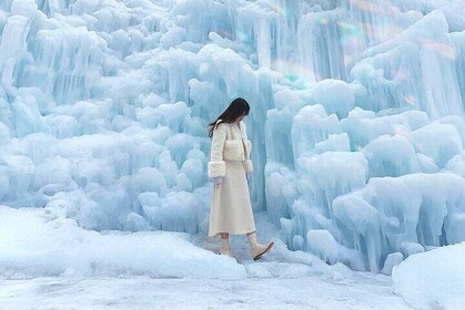 Cheongyang Alps Village Tour with Activity and Strawberry Picking